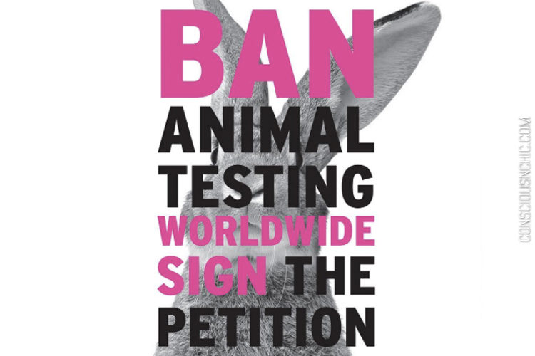 The Body Shop Calling the UN to End Animal Testing Worldwide - Conscious &  Chic