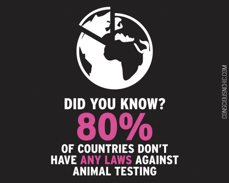 The Body Shop Calling the UN to End Animal Testing Worldwide - Conscious & Chic The Body Shop Calling the UN to End Animal Testing Worldwide - Conscious & Chic