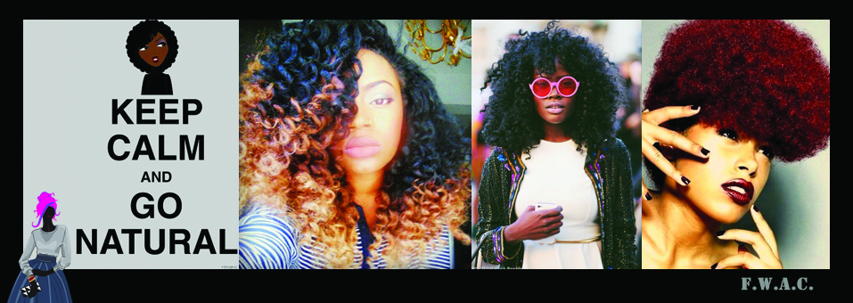 Natural Hairstyles You Should Steal From Pinterest – Part 1